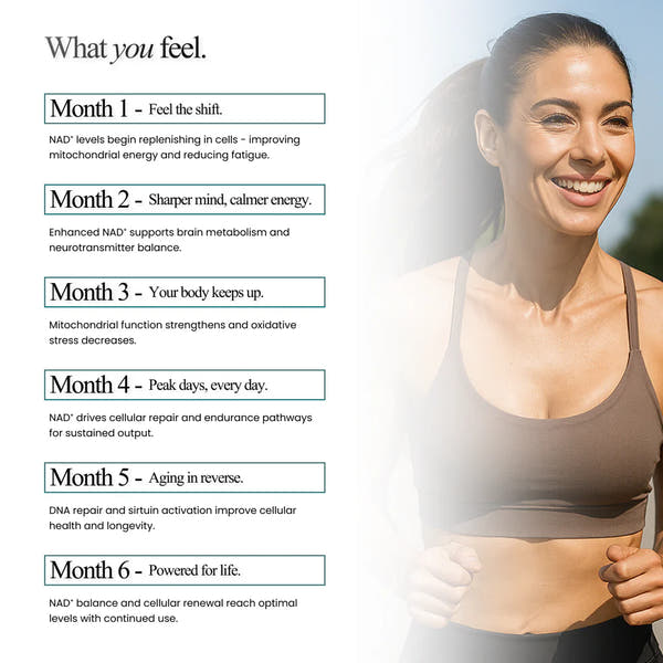 NAD+ Full Kit (1000mg)